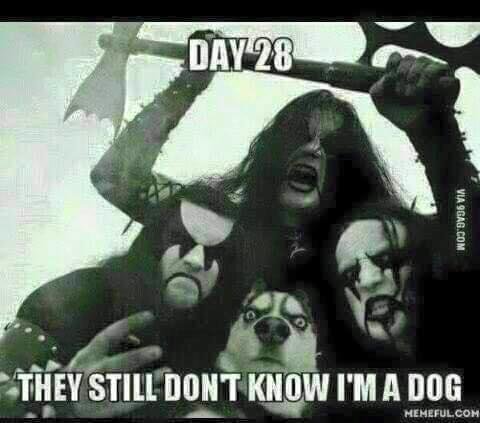 LOL