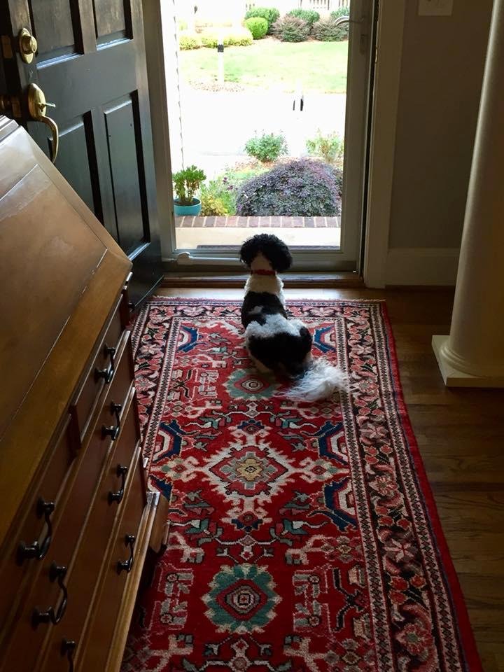 Neighborhood watch.