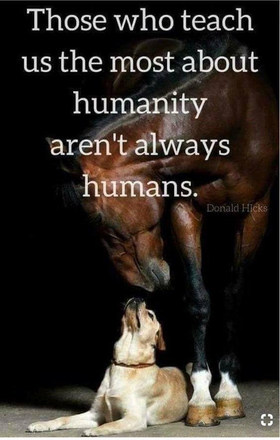 Jeff Mackey's album, Timeline Photos