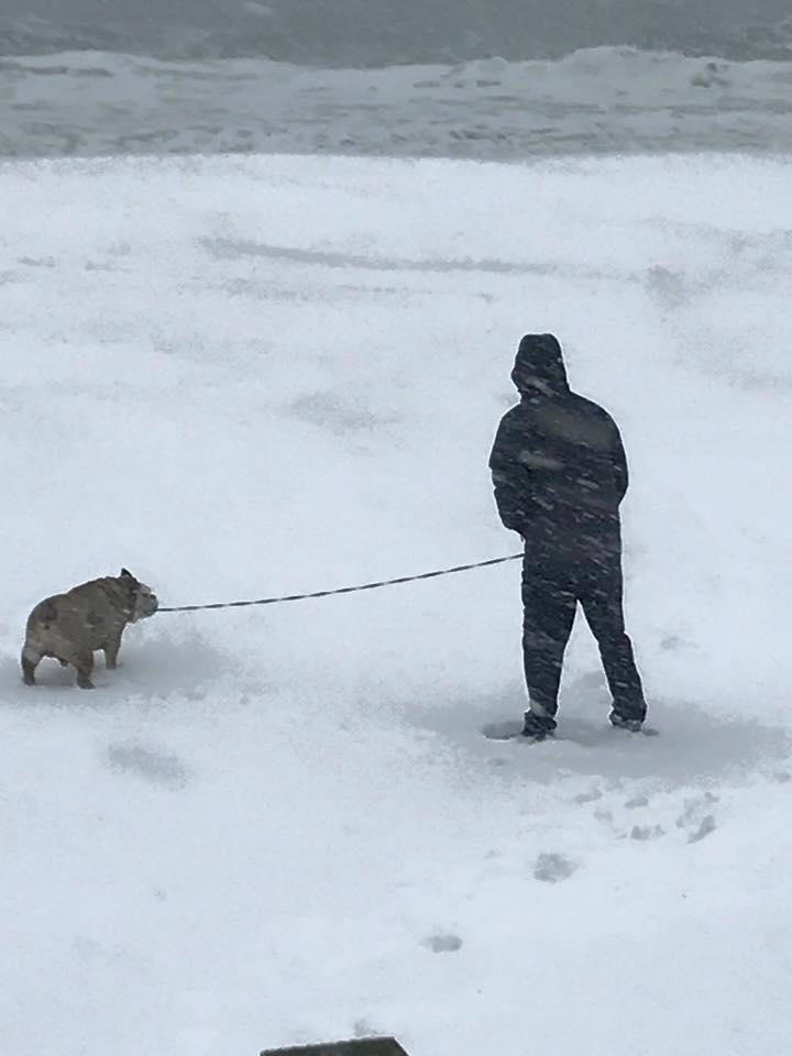 A winter wonderland OC Md
