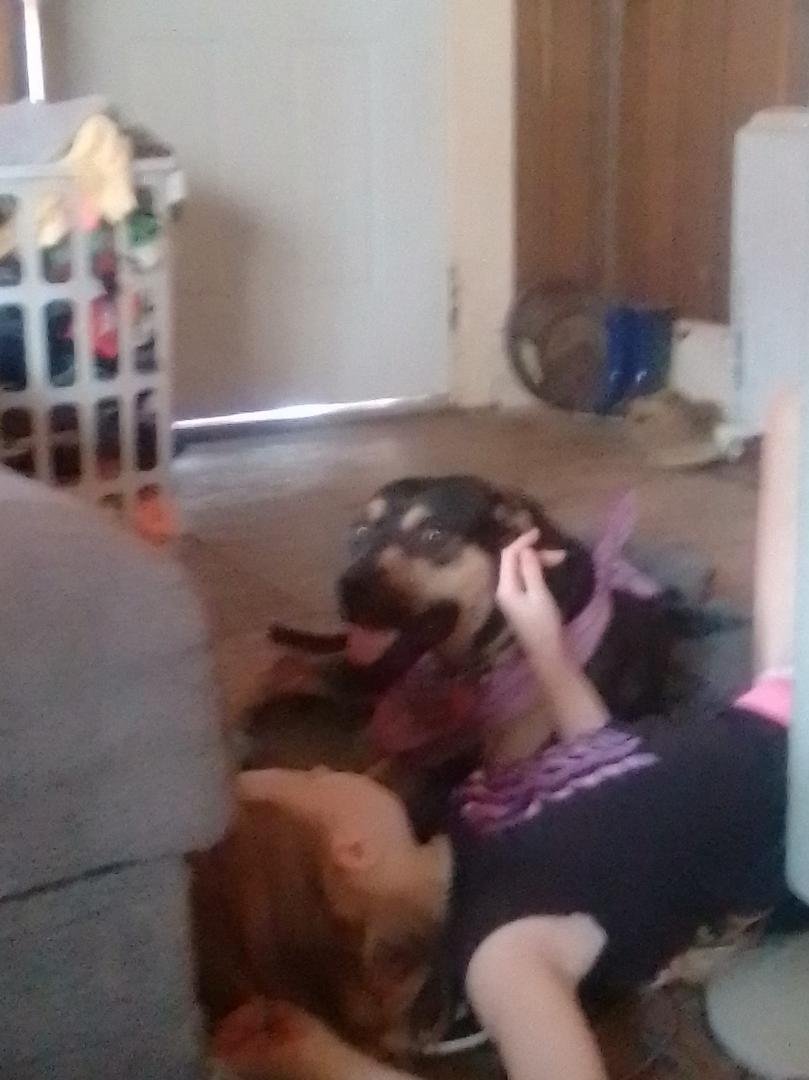 Has anyone seen my dog? I'm trying to find her. I left her with a trusted friend yesterday and now I can't find my friend either. She isn't just my dog she is also my service animal. It is imperative I be reunited with