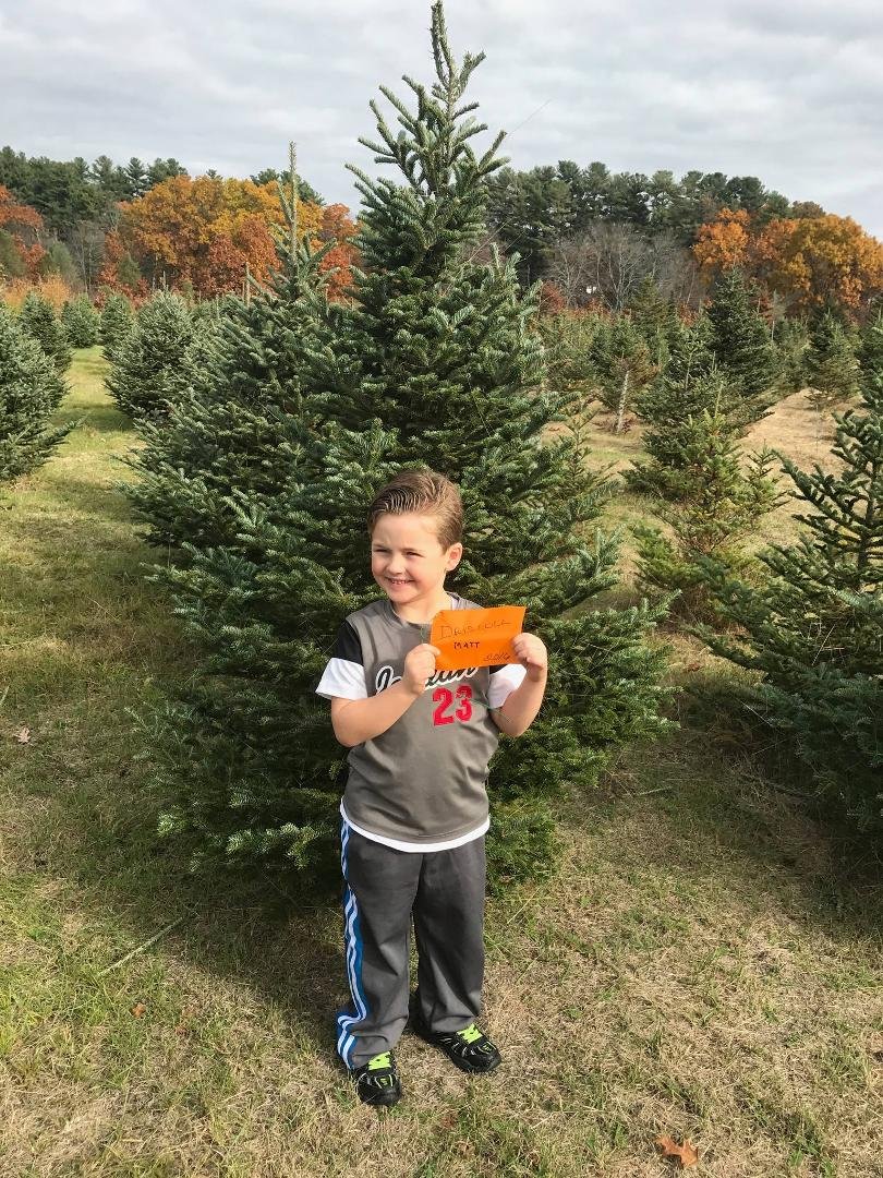 Tagging our christmas tree!
