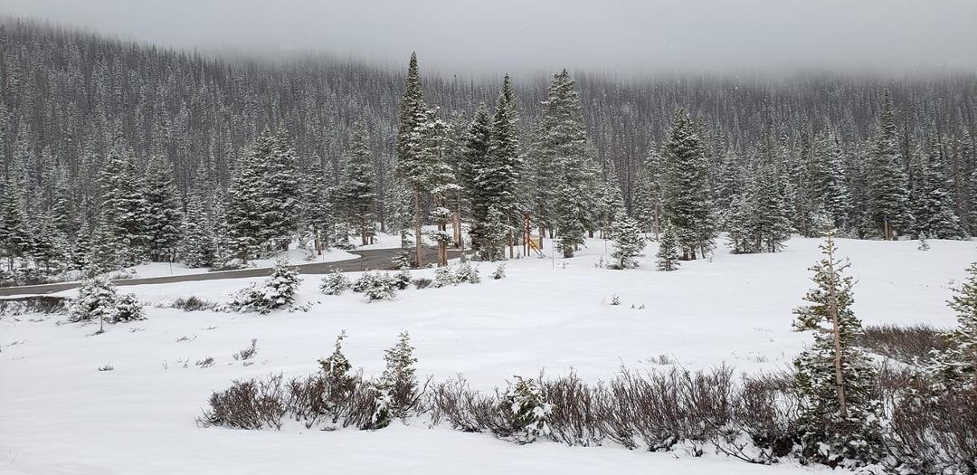 Snowing up in the mountains!❄❄ Beautiful!