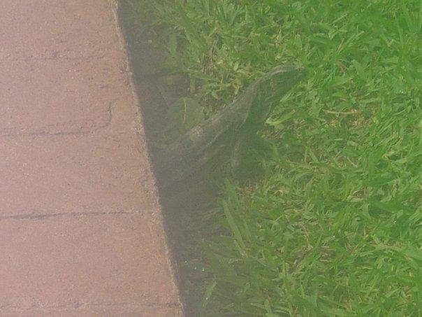 John Chase's album, Barcelo Colonial Resort