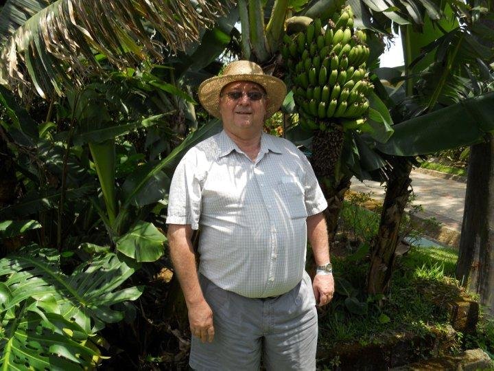 Bananas growing next to coffee plants, Costa Rica