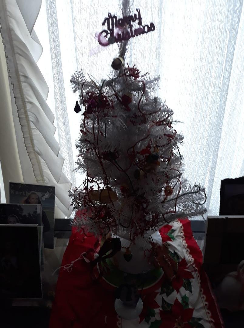 My tree is soooo big...l could barely get it in the house...😁