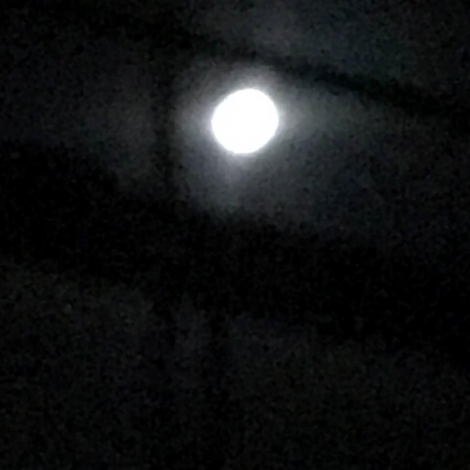 Getting mooned in Ambler.