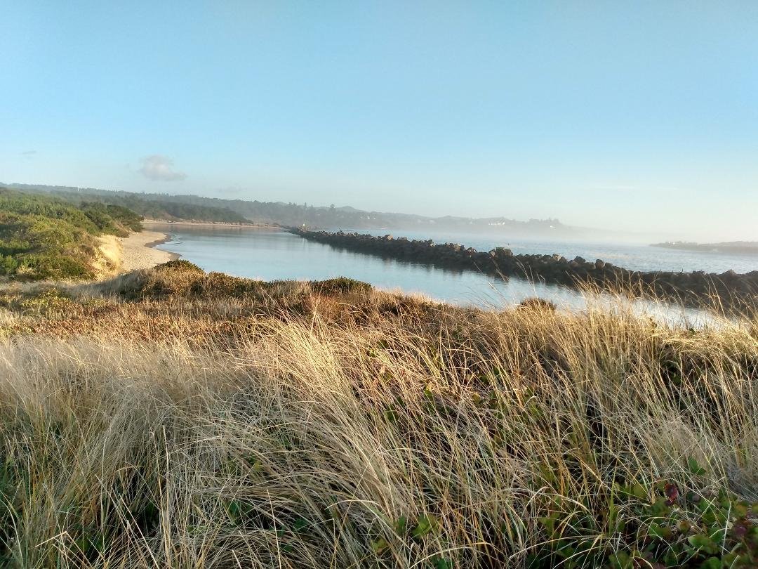 North Jetty side of the Siuslaw river today.