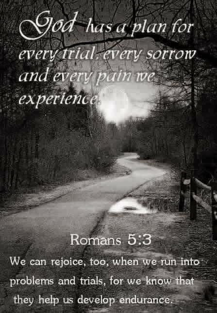 Debbie Seltman's album, Timeline Photos
