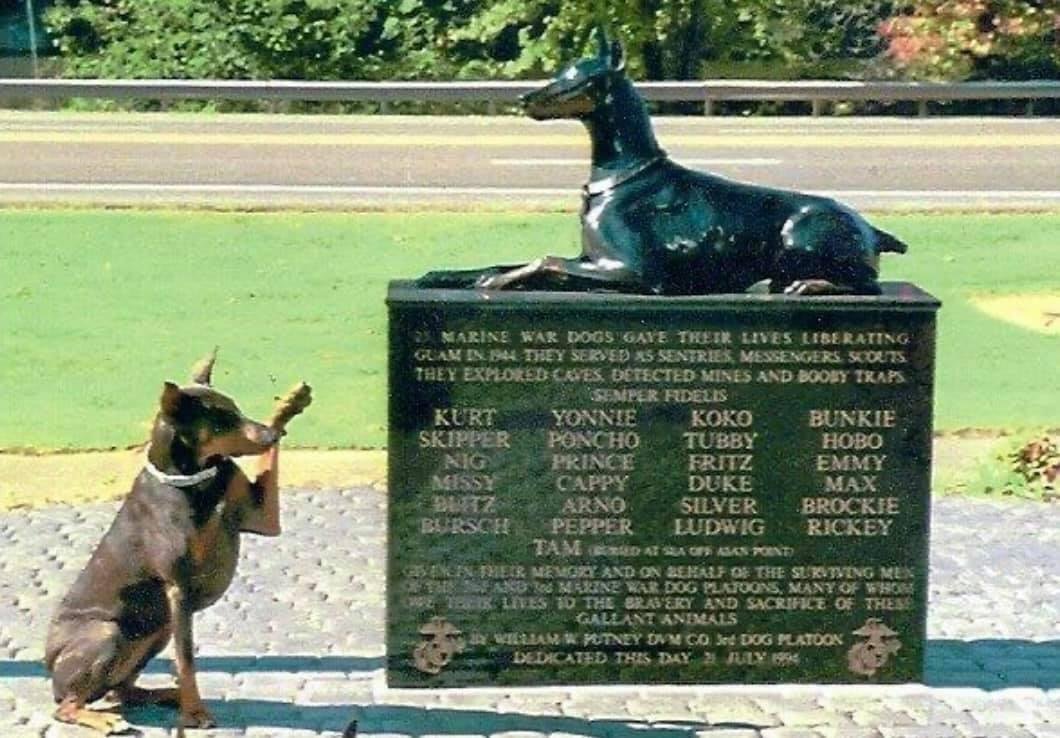 Let’s not forget all veteran’s who gave their lives for our country.