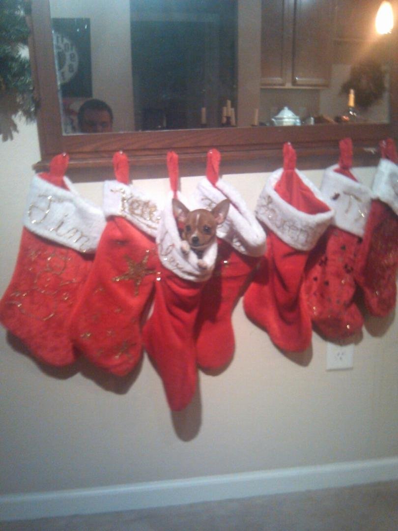 Santa left something early alex
