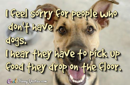 Jesse Moore's album, Timeline Photos