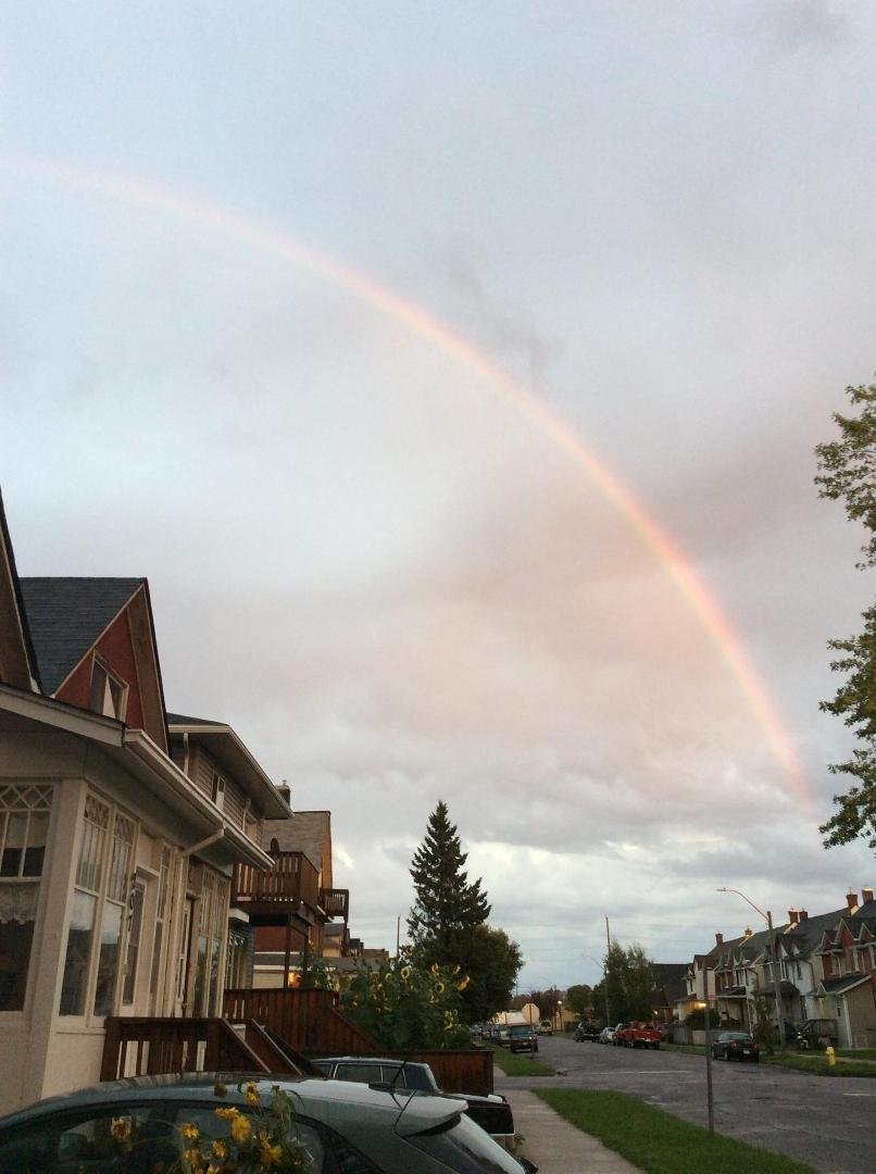 Everyone needs a little magic! Rainbows magical