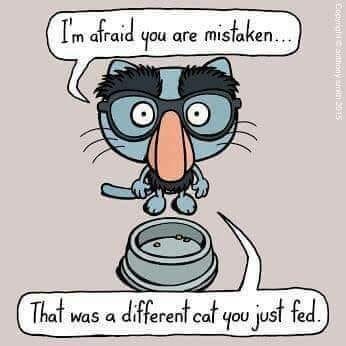 James Powers' album, Timeline Photos