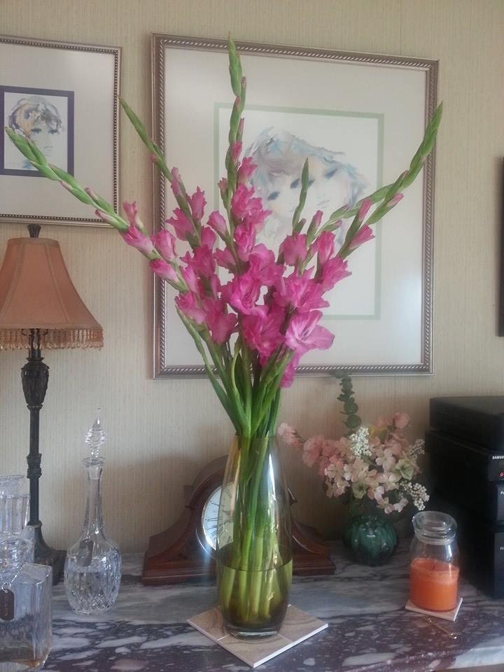 2 days ago Dave surprised me with these beautiful gladiolus. Every day they open more. Isn't he great?