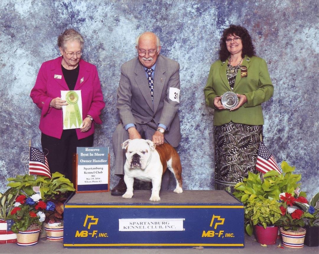Digby's Reserve Best in Show Owner Handler. Received today. Same show as New Champion pic. Blue Ridge Cluster, Fletcher,NC