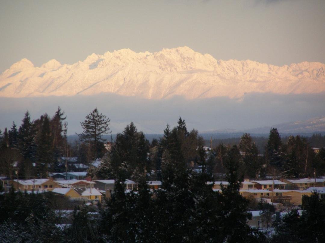 View of the Olympic Mountains from our back deck this morning.
