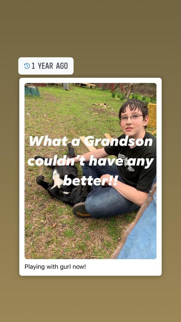 Ray Jackson's album, Mobile Uploads
