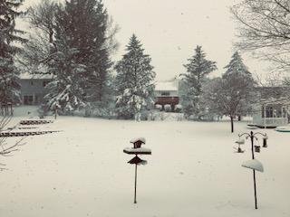 Winter Wonder Land returns to Rochester MN!
