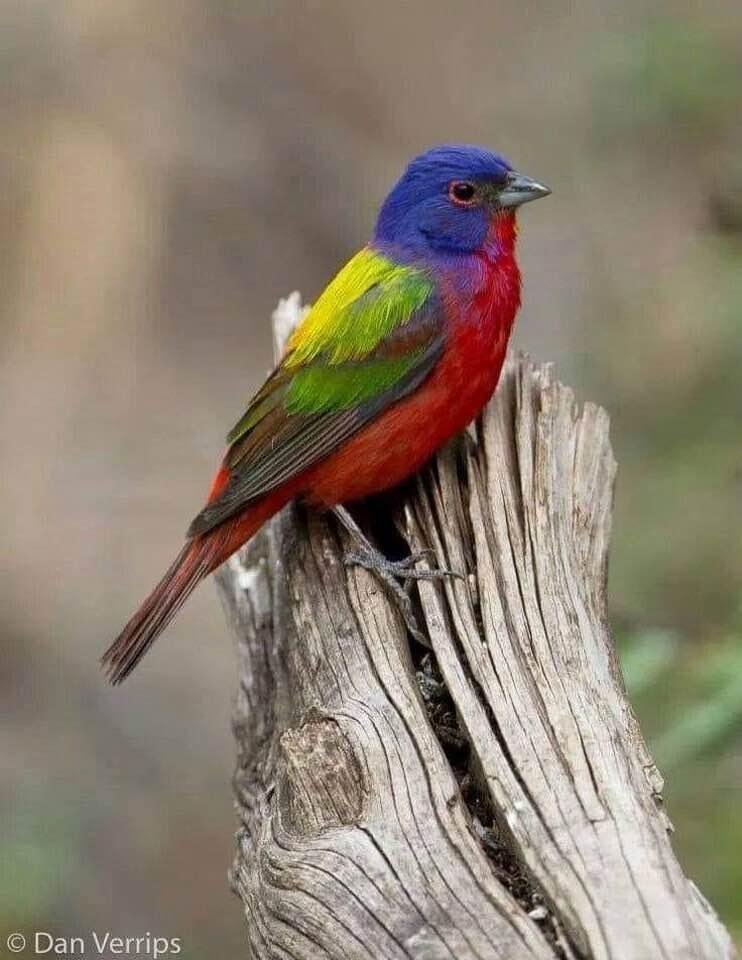 Beautiful 😻; God’s creation