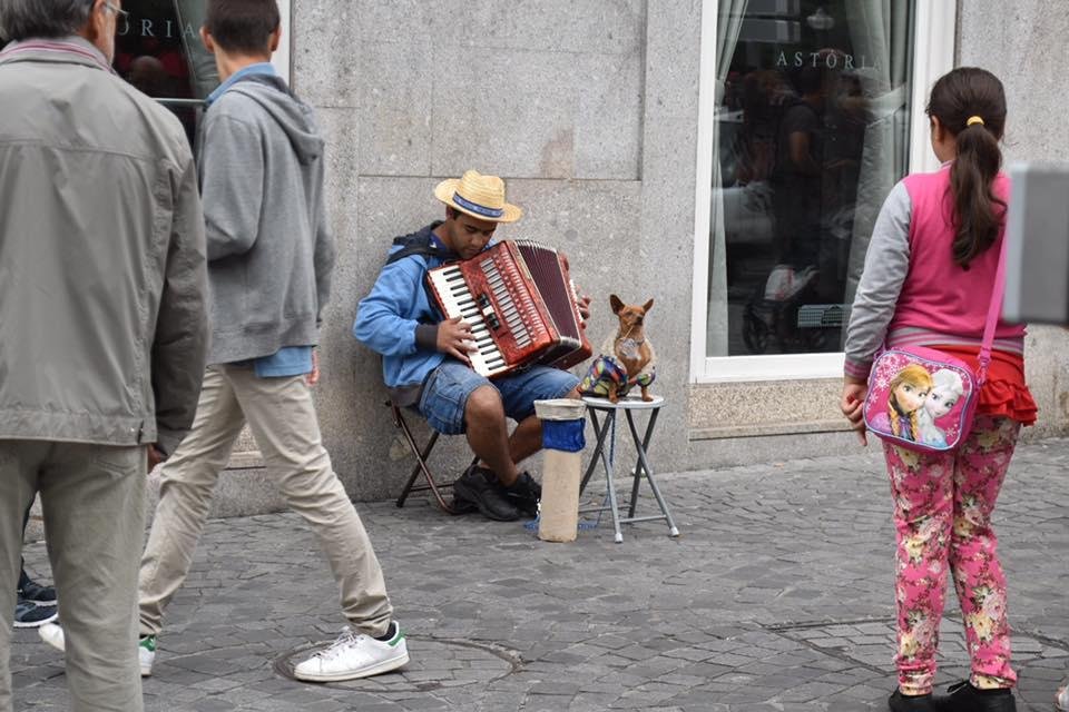 Who could resist giving money to this street musician?