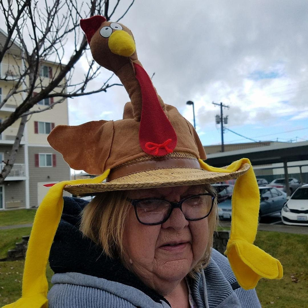 Our resident turkey