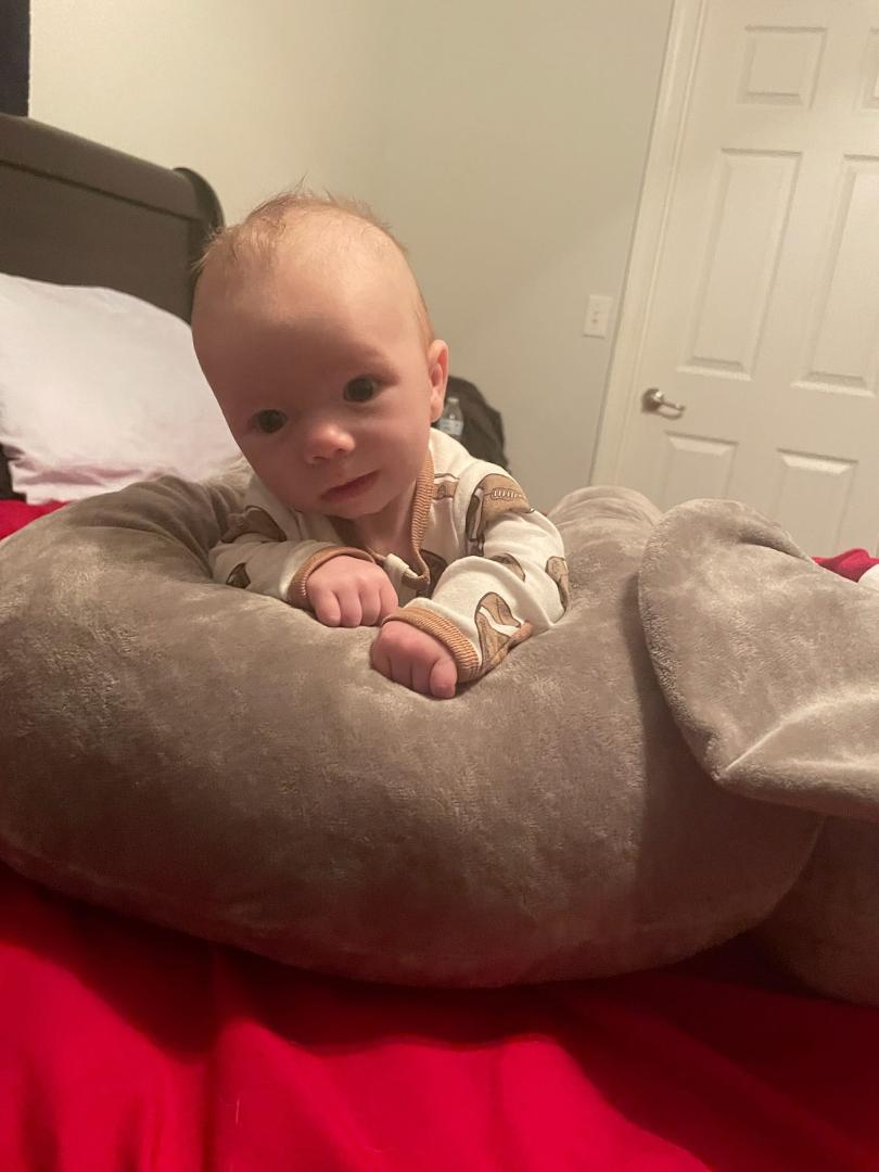 My sweet great-grandson love you love you love you with his big elephant.