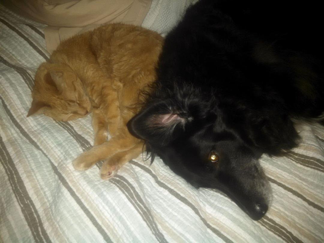 Found this when I went to make the bed this morning