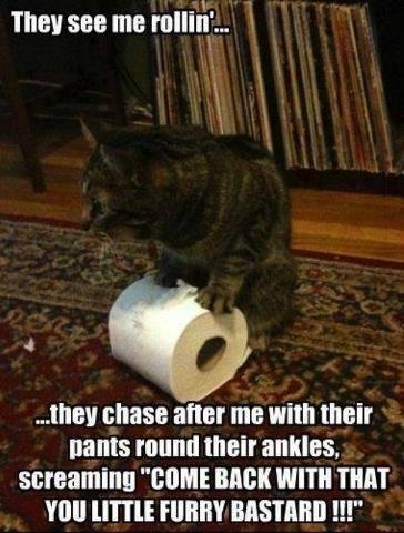 Jim Chambers' album, Timeline Photos