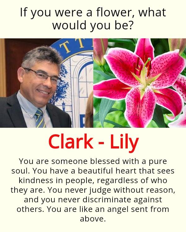 Clark Bailo's album, Timeline photos