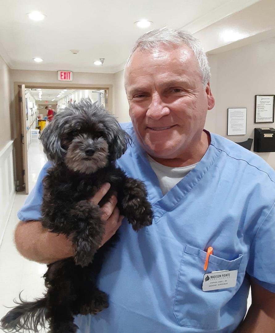 11 year old Maltipoo. Too cute❤🐾