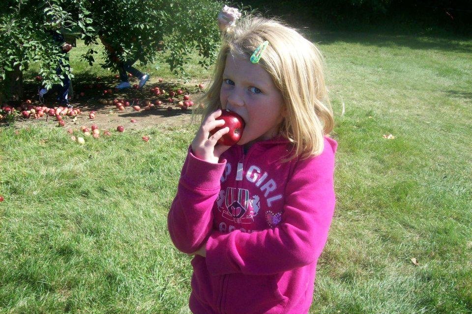 Carl Harrison's album, Apple Picking 2011