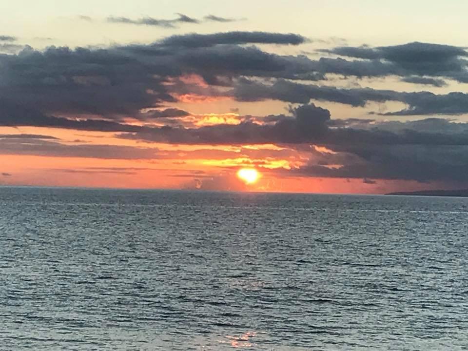 Maui wowie