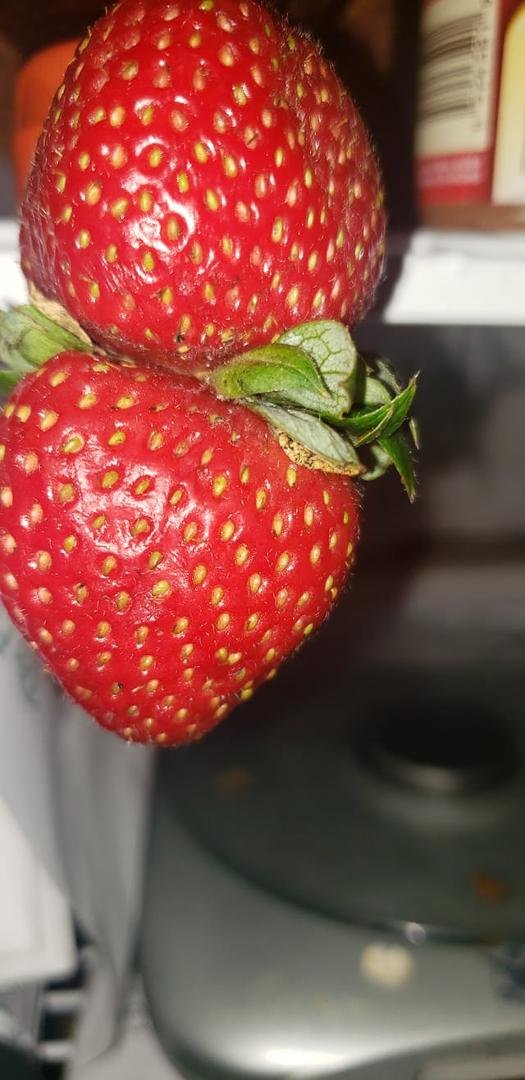 Same stem
