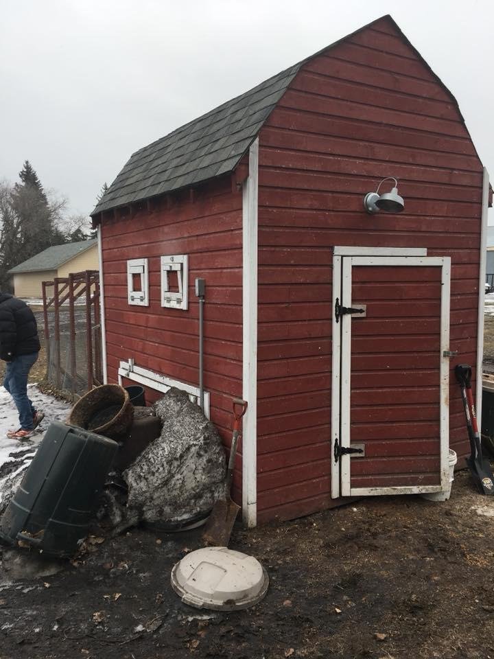 Former chicken coop now empty and derelict. One disappointed customer so far today. Everybody liked brown fresh eggs.