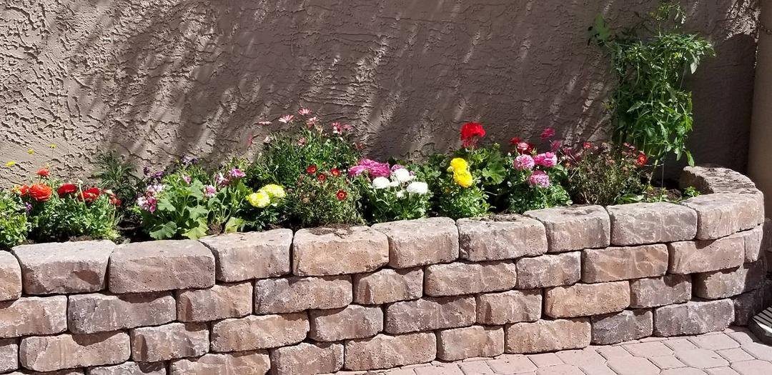 Kelly St. Clair's album, Timeline Photos
