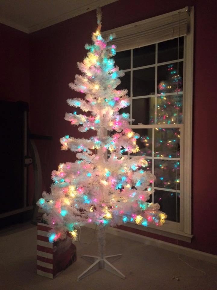 Christmas 2015
Under the tree, a book, an ornament, gifts from work, coffee from big sister. 
Hmmm