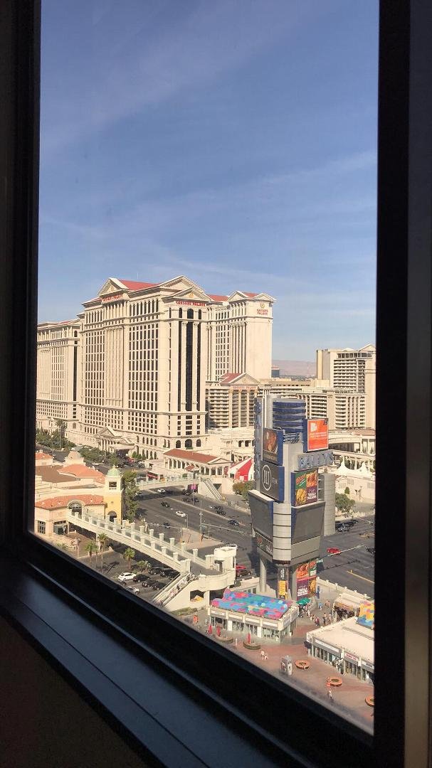Just kicking back and relaxing this morning looking out the window.