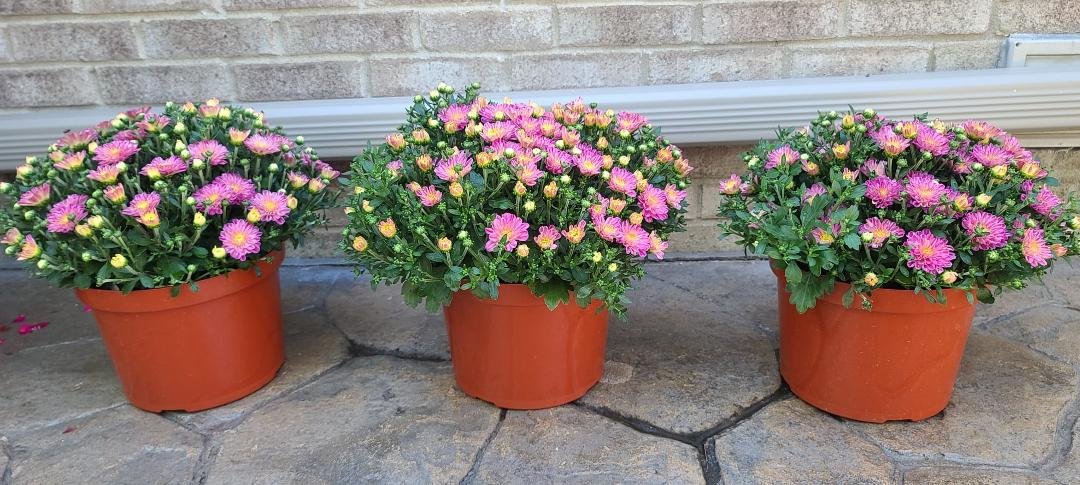 Jan Zalewski's album, Timeline Photos