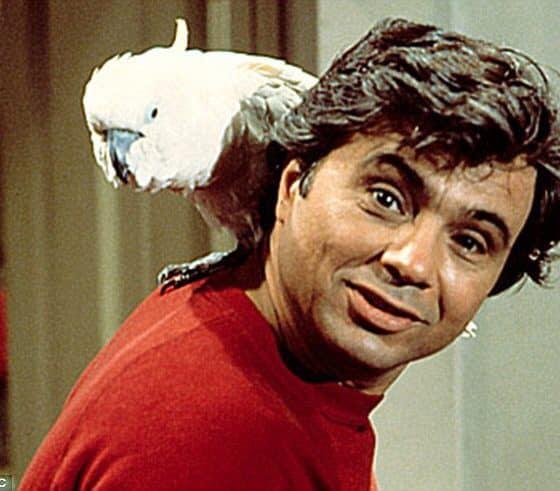 The 70s TV show Beretta what was his birds name and what type of bird was it?￼￼