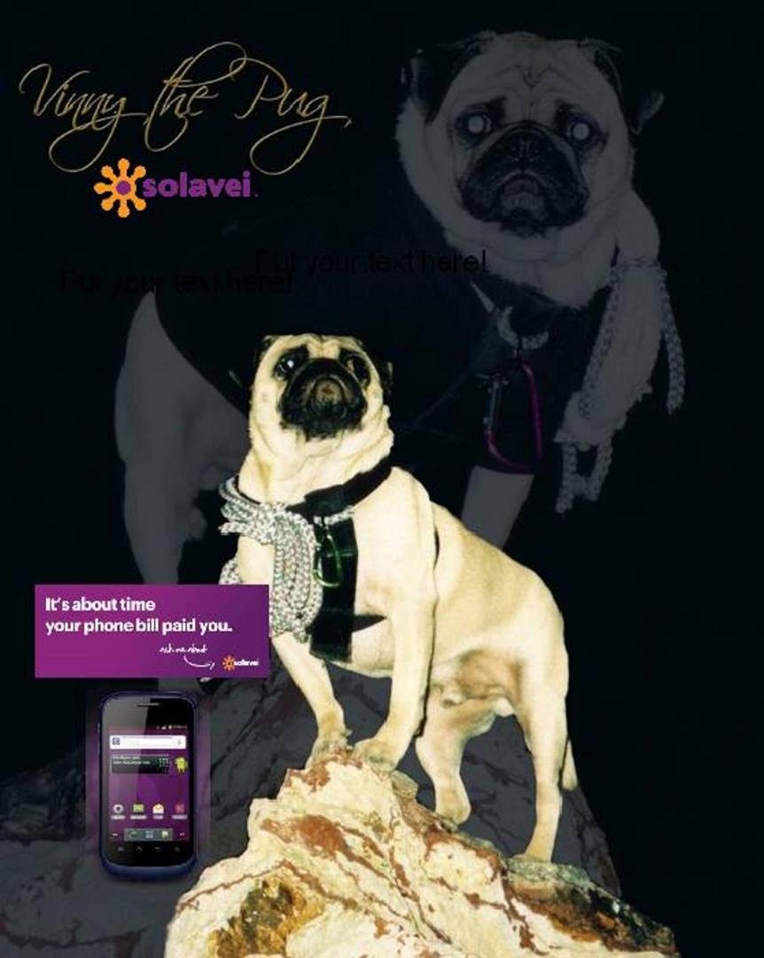 Vinny the Pug
- on -
SOLAVEI
Isn’t it about time Your cell phone Start paying You?
“Vinny the Pug” is harnessing the power of SOLEVEI to cre