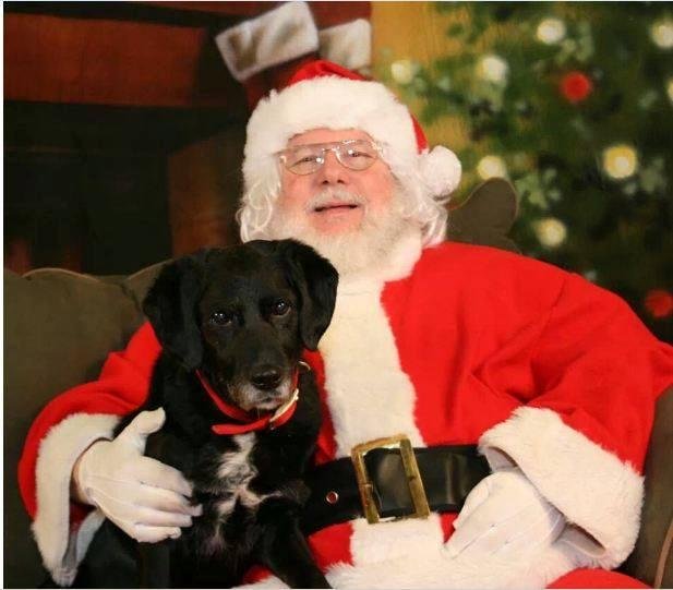 Wishing everyone a happy and safe holiday.