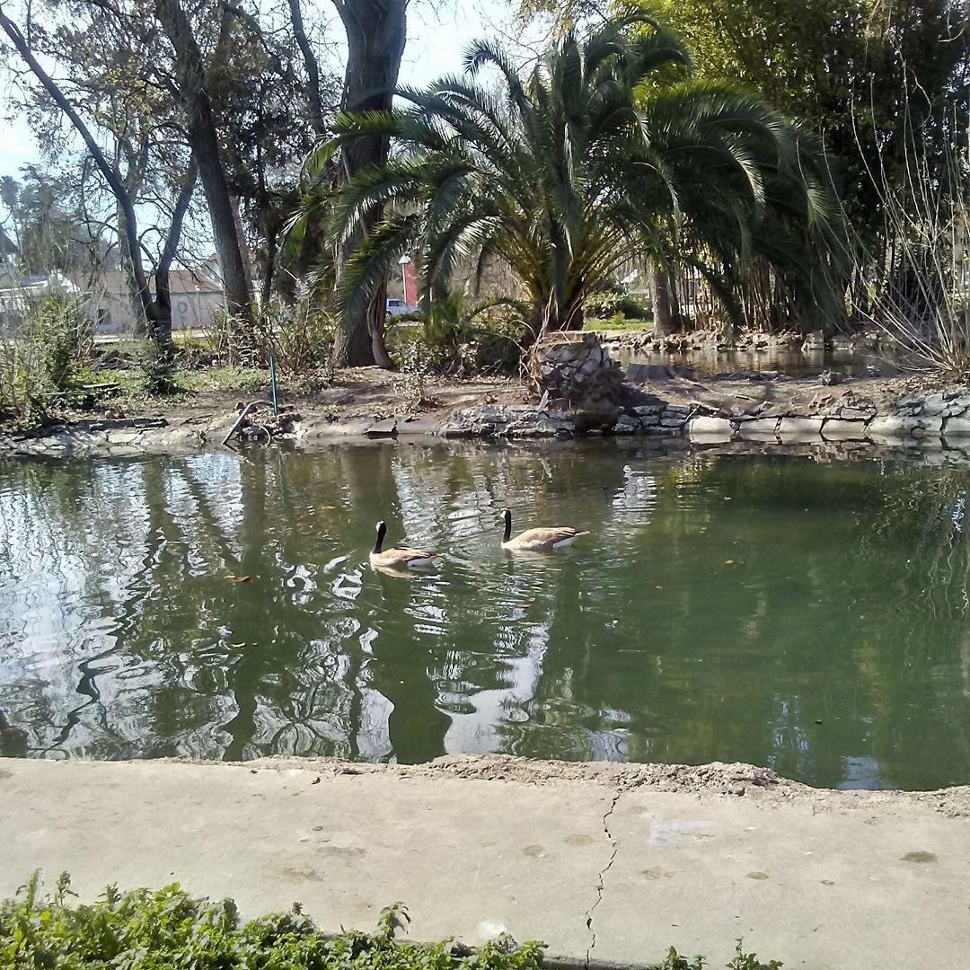 Nice day at park