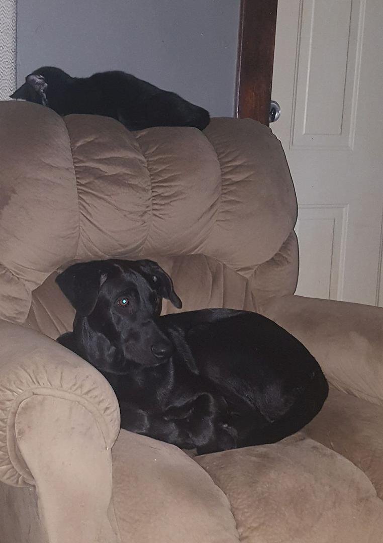They've taken over Robbie Mcroy chair