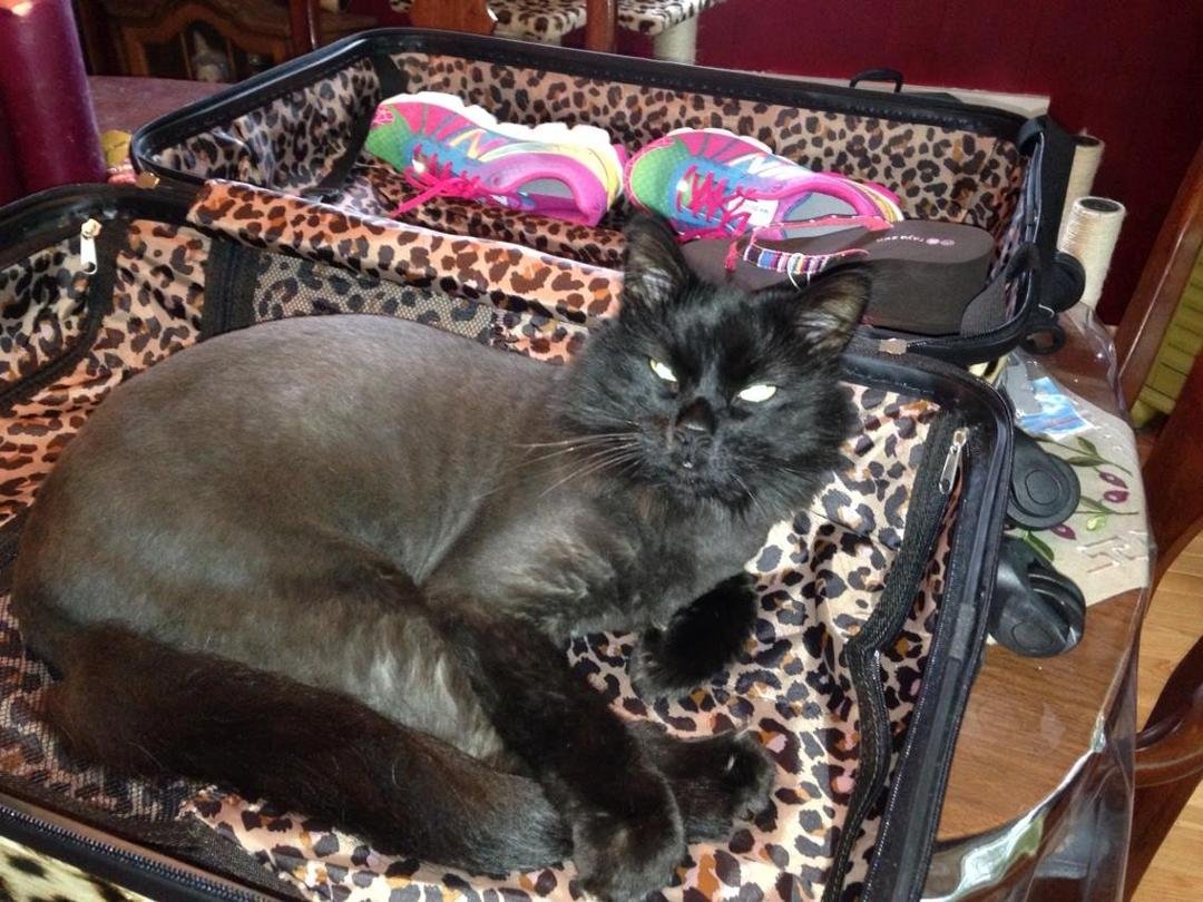 Thinks he's going on vacation with me!