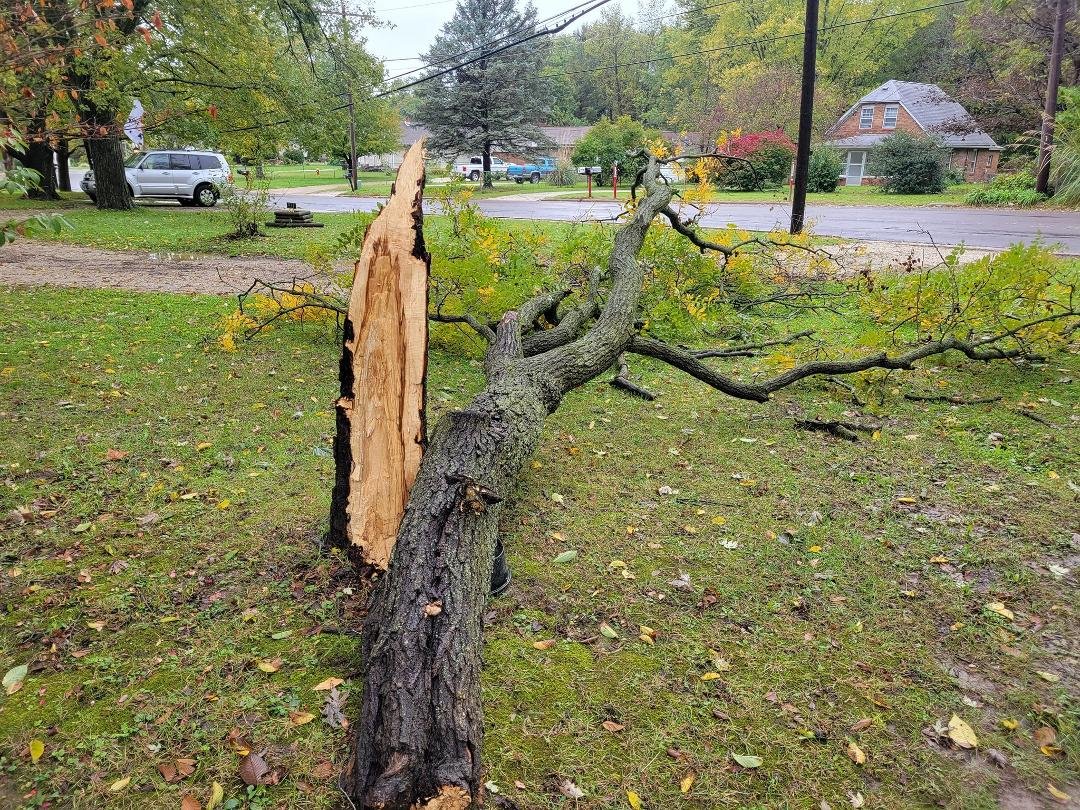 This is what lightning did last night