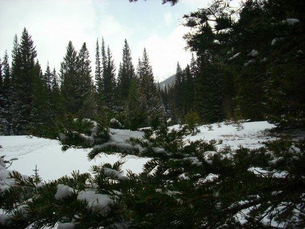 Kelley Brenneman's album, Hiking