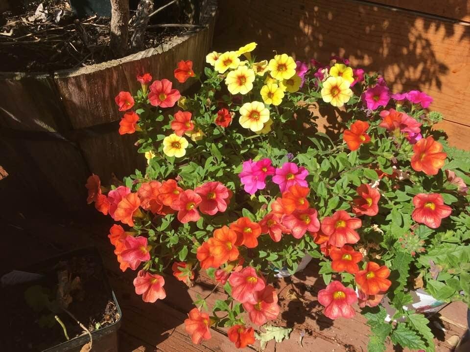Susan Moses' album, Timeline Photos