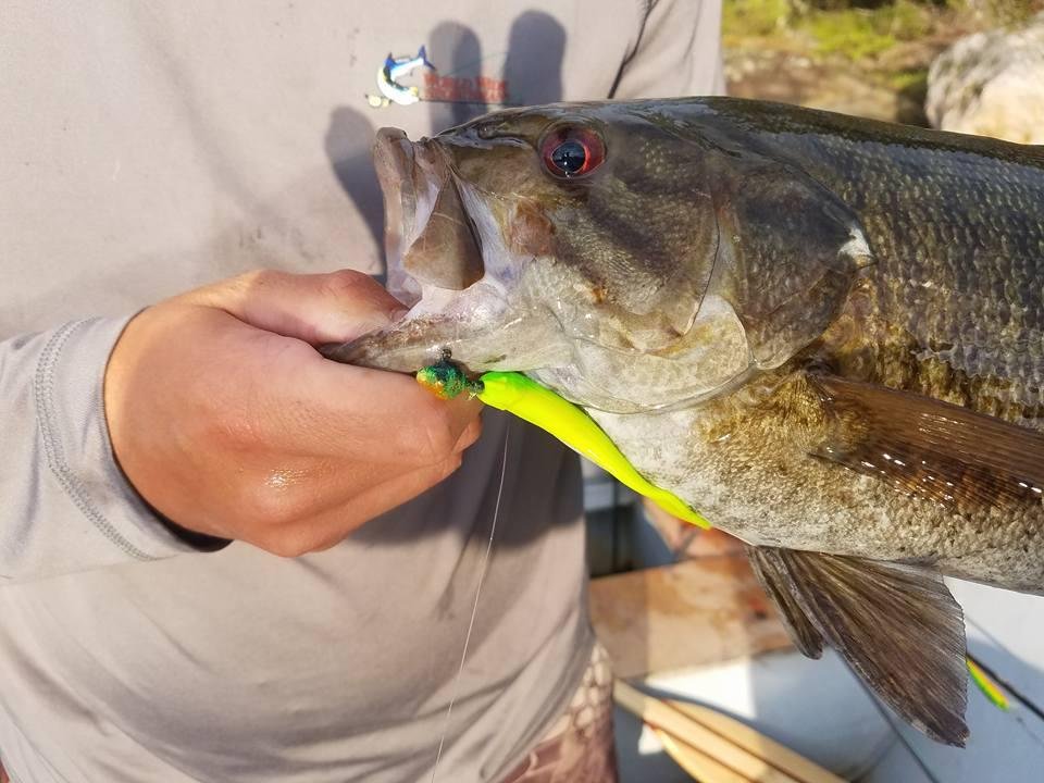 Caught several fish on my friend Scott Echelberger hand painted jig heads.
