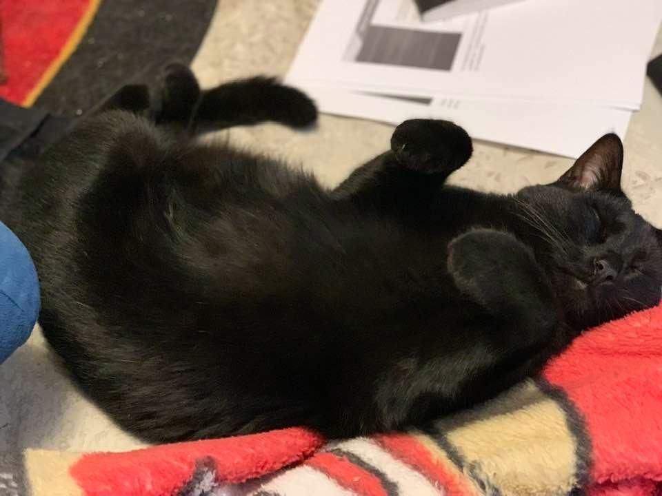 How about this picture as a CAT scan.